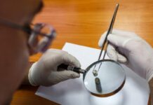 Как стать экспертом-криминалистом?