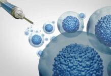 В Беларуси зарегистрирован первый противоопухолевый клеточный продукт на основе клеток-киллеров