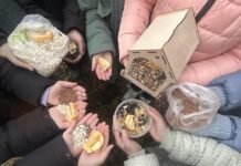 Юные борисовские краеведы приняли участие в акции «Покормите птиц зимой»