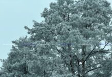 Кратковременный снег и до -17°С. Какая погода будет в Беларуси 18 февраля