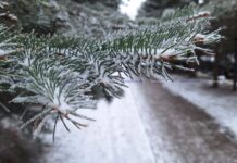 ГАИ предупреждает водителей о морозах и гололедице в выходные