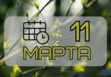 11 марта