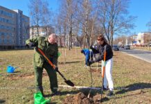 Сделать город лучше. Кто первым вышел на озеленение Борисова?