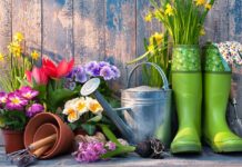 Дачный сезон