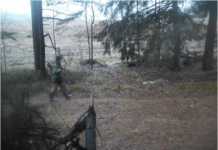 Выявлен еще один нарушитель в охотничьих угодьях