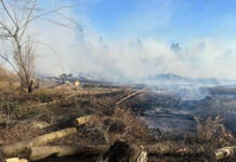 Весенний пал травы