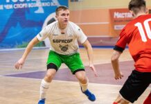 Игрок БОРИСОВ-900