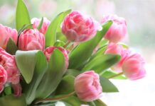 Председатель Миноблисполкома Александр Турчин поздравил женщин центрального региона с 8 Марта