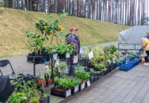 Где и когда в Борисове состоится весенняя ярмарка