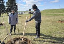 Озеленение территории на Кургане Славы. Участие в благоустройстве приняли и борисовчане