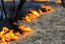 Разводить костры на придомовых территориях можно, но следует соблюдать ряд важных правил
