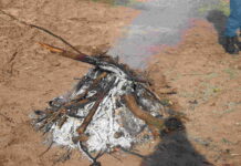 Пал травы на контроле у спасателей