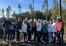 Депутатский корпус и “Белая Русь” присоединились к акции “Дай лесу новае жыццё”