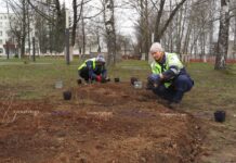 Где на ул. Гагарина в Борисове разбиты новые клумбы