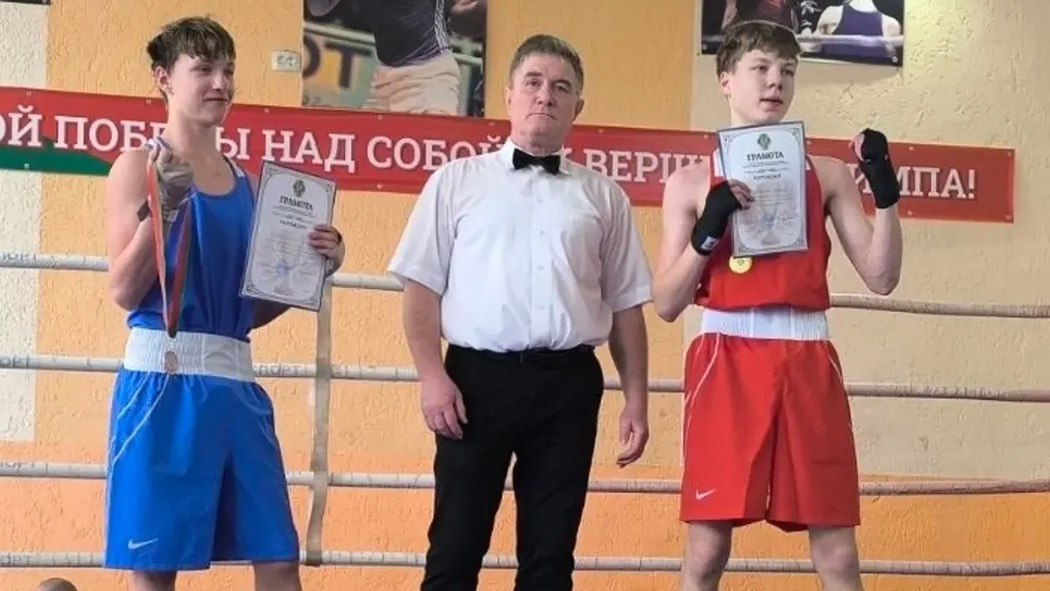 Боксеры