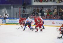 Борисовчане посетили финал Республиканской хоккейной лиги
