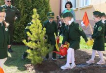 В Минской области появился первый мурал на лесную тематику