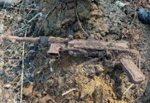 Арсенал времен Великой Отечественной войны был обнаружен при посадке леса в Борисовском районе