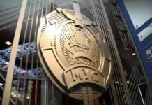 МВД о манипуляциях с информацией о массовом въезде пакистанцев в Беларусь