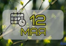 12 мая