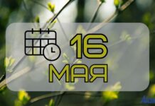 16 мая