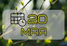 20 мая