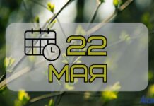 22 мая