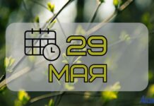 29 мая