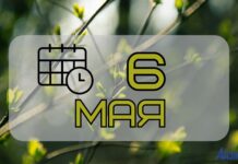 6 мая