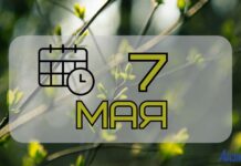 7 мая