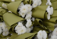 Награды вручены представителям различных сфер