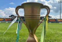 Очередной кубковый путь «желто-синих» начнется в Минске