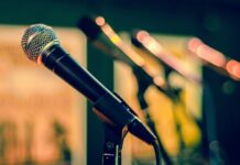 В США художник целый год записывал звуки одного дерева, чтобы выпустить альбом