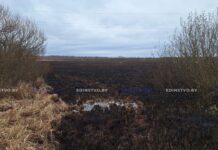 Палы травы на борисовщине