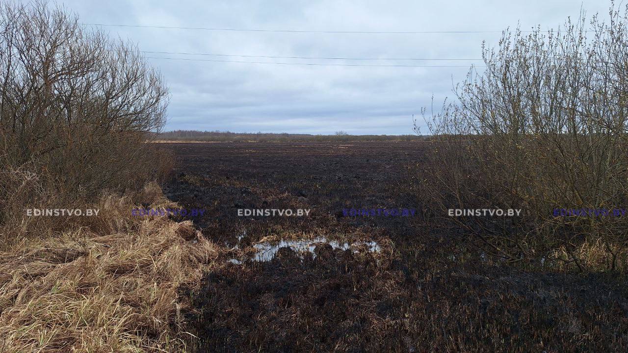 Палы травы на борисовщине