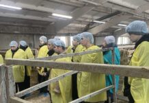 Как овцеферма открыла новые грани профессии для учащихся Борисовщины