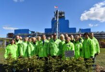 Коллектив ОАО “Борисовдрев” заложил Аллею Победы на территории предприятия