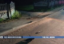 В Борисовском районе водитель наехал на пешехода и скрылся с места ДТП