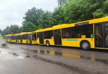 Фотофакт. Сегодня четыре новых МАЗ-203 вышли на городские маршруты в Борисове