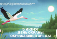 5 июня — День охраны окружающей среды: скажем «нет» пластиковому загрязнению