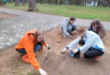 Борисов встречает День эколога: от субботников до признания природы