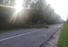 Спасатели Борисовского ГРОЧС устраняют последствия непогоды