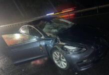 Под Минском Tesla сбила сразу трех лосей