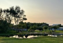 В Борисове подростки распивали спиртное у реки