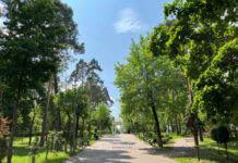 Сегодня в городском парке пройдут интересные мероприятия