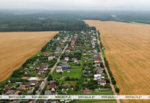 В Беларуси работают над внедрением агродронов в промышленных масштабах