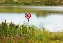 «Зуд купальщика»: как избежать неприятностей на отдыхе у воды