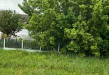 Почему у некоторых частных домовладений в Борисове убирают заборы