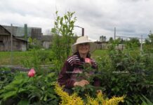 Царство хост. Знакомим с участницей редакционного конкурса «Мой уютный мир»