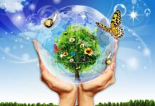 Борисовчане завоевали пять дипломов республиканского конкурса